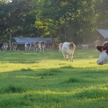 Glamping Des 2 Marguerites Hotel Bazoches-au-Houlme Buitenkant foto